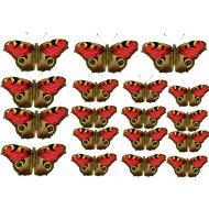 Бабочки  №12