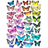 Бабочки №18
