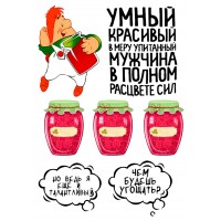 Карлсон 3Т